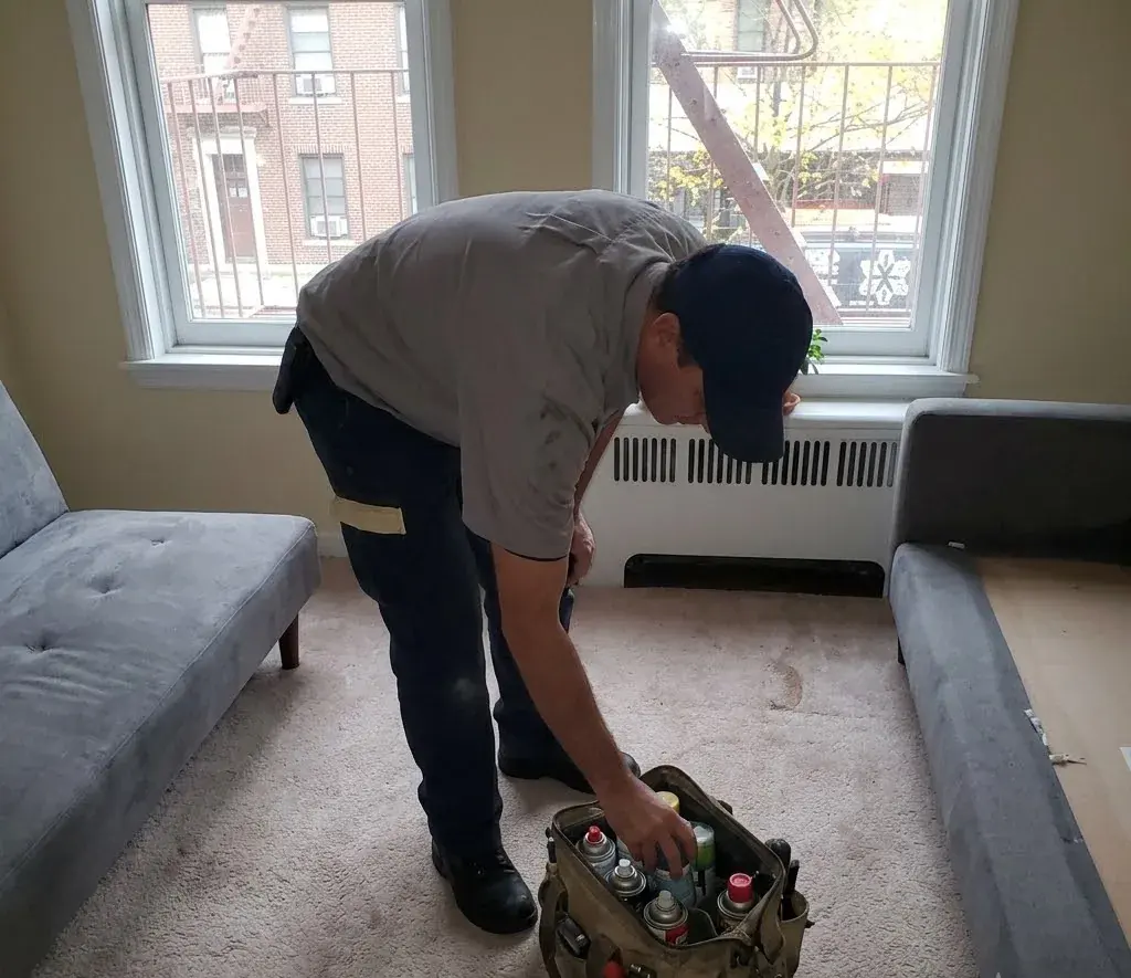 Residential pest control in Georgetown, TX