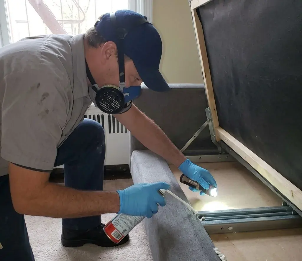 Signs of Bed Bugs in Georgetown, TX Homes