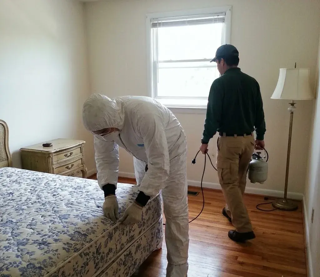 Can Bed Bugs Spread from Hotels? Georgetown, TX Guide