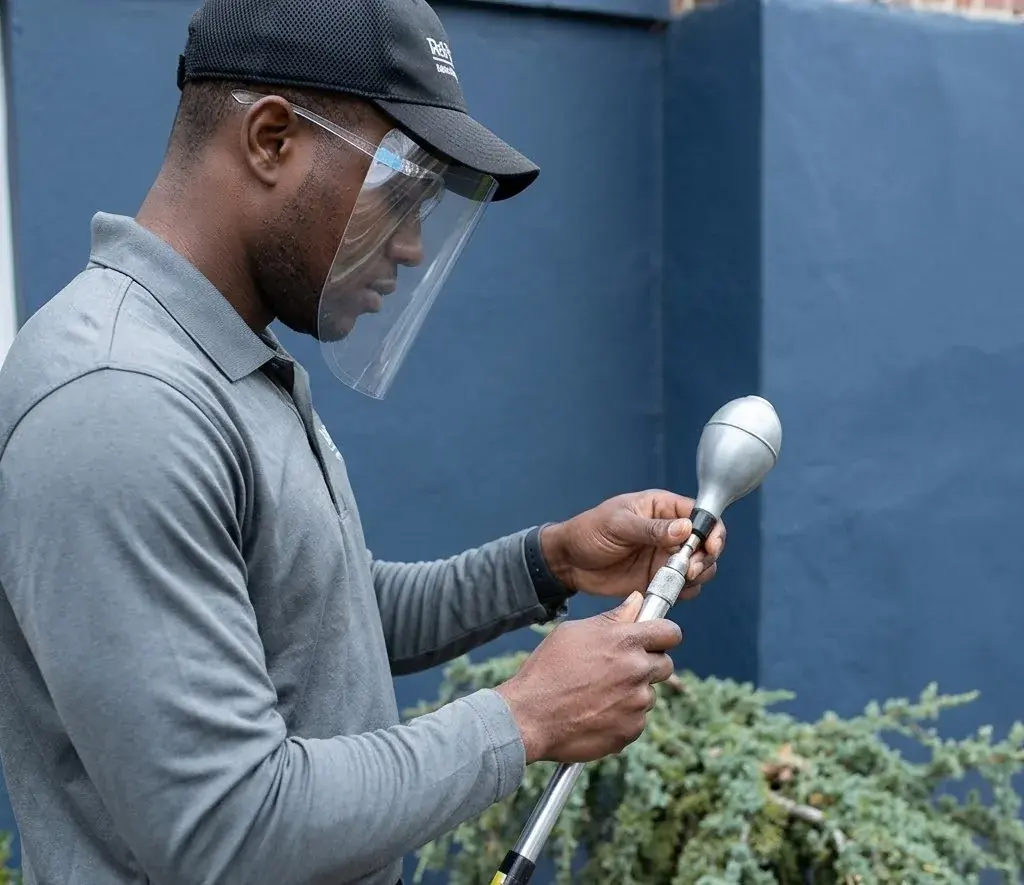 Spring Pest Prevention Tips for Georgetown, TX